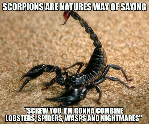 scorpions glow in the dark