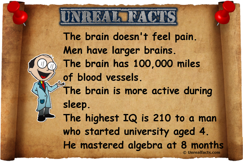 Interesting Brain Facts