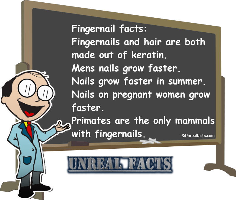 weird fingernail facts