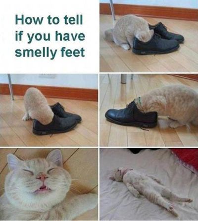 How Much Do Feet Sweat