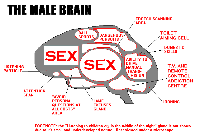 Interesting Brain Facts