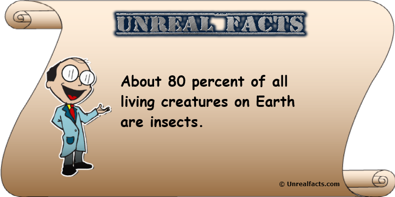 percentage of insects on earth