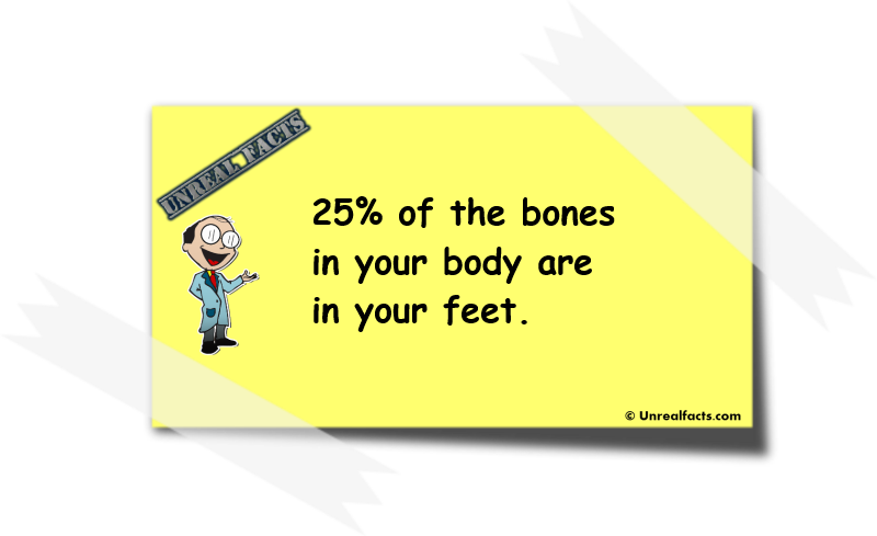 quarter of bones in feet