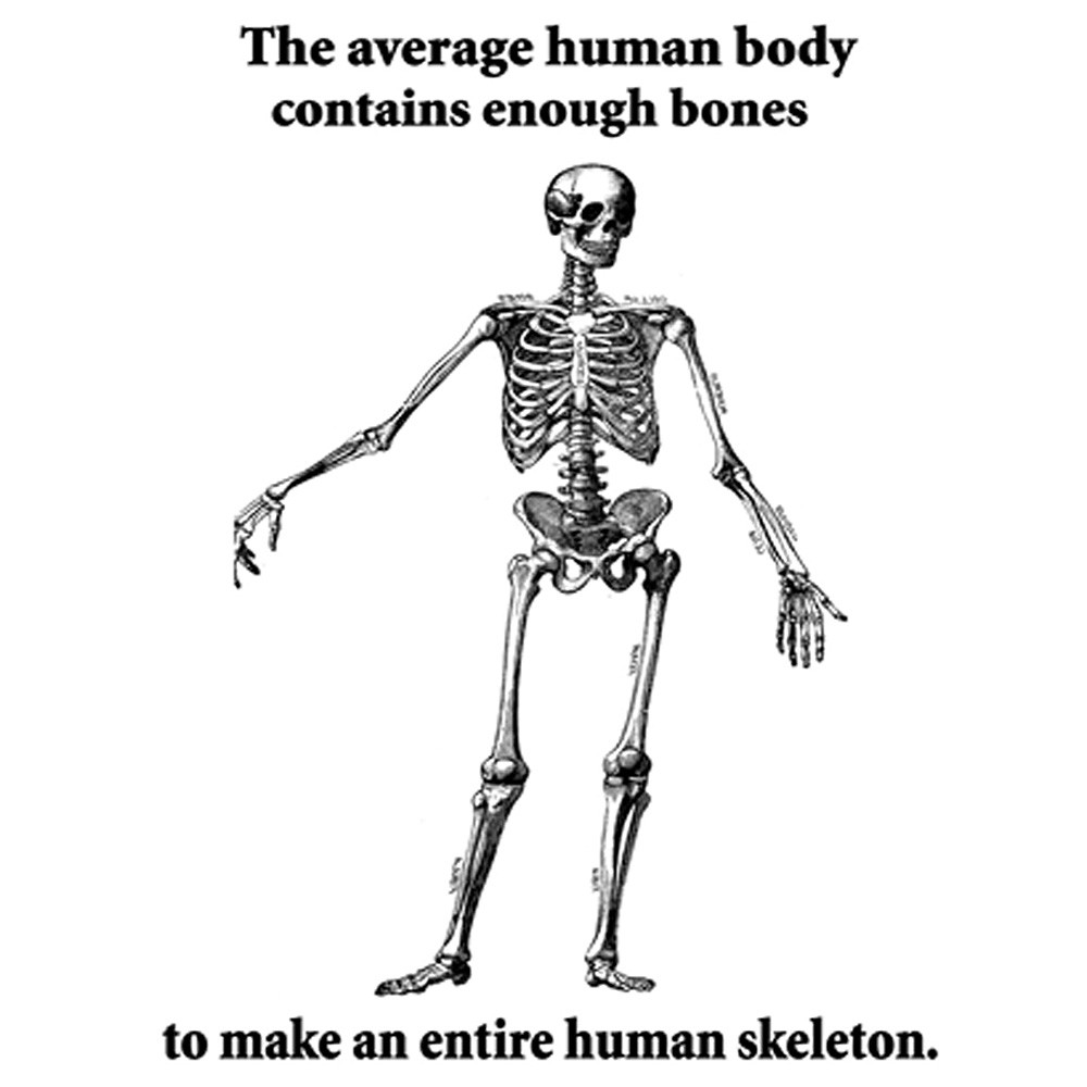 babies more bones than adults