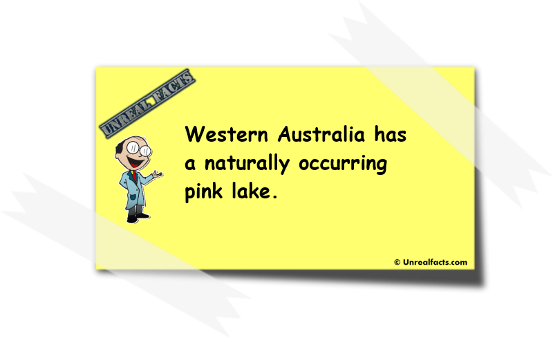 Pink Lake Western Australia