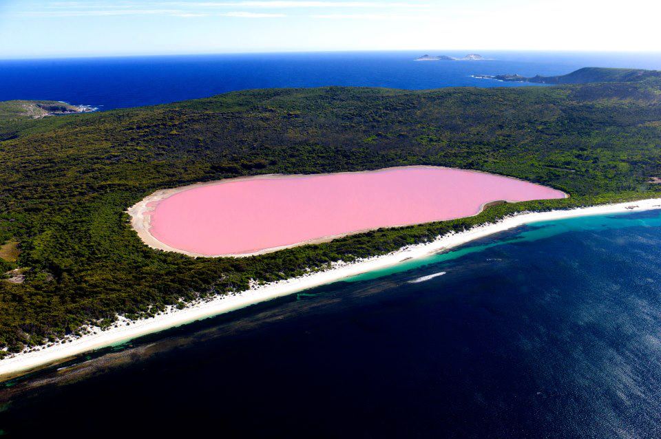 pink lake western australia