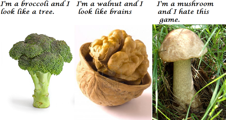 funny mushrooms