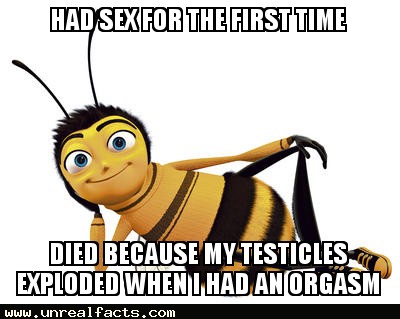 bees testicles explode