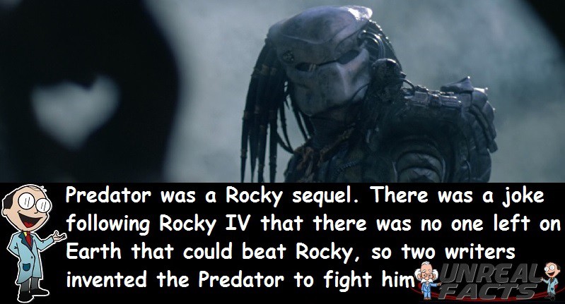 Predator Rocky Sequel