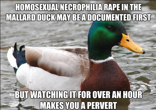 Homosexual Necrophilia Duck Rape