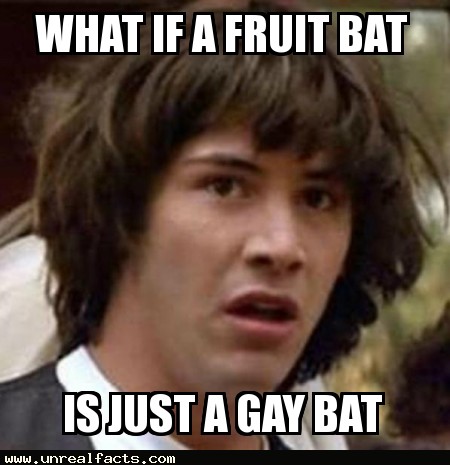 male bats homosexuality