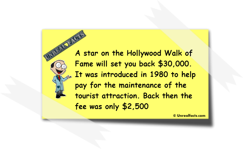 hollywood walk of fame cost