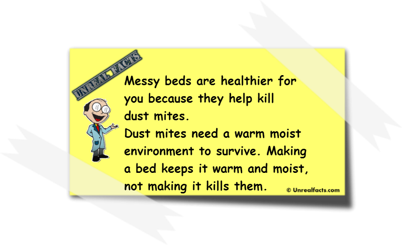 messy beds are healthier