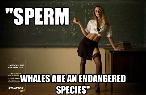 The Sperm Whale Got Its Name