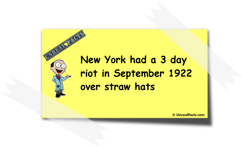 straw hat riot