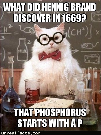 phosphorus urine discovery