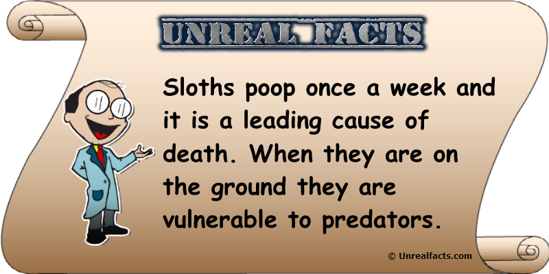 sloths poop once a week