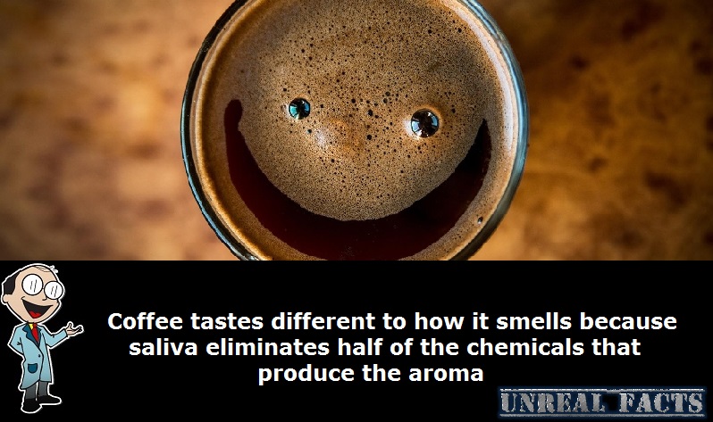 why doesn't coffee taste like it smells