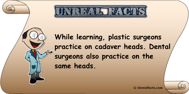 do plastic surgeons practice cadaver heads