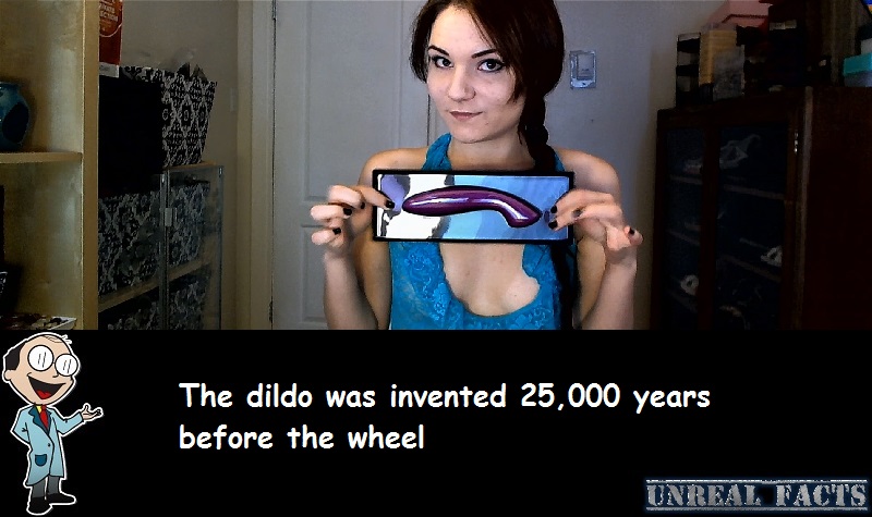 the dildo was invented 15000 years before the wheel