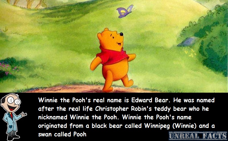 winnie the pooh real name