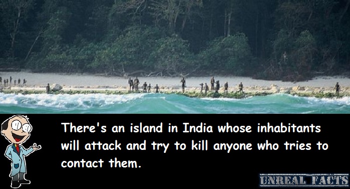 indian island attacks visitors