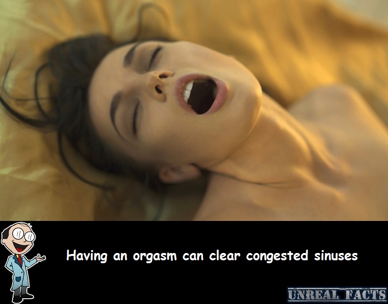 orgasm sinuses