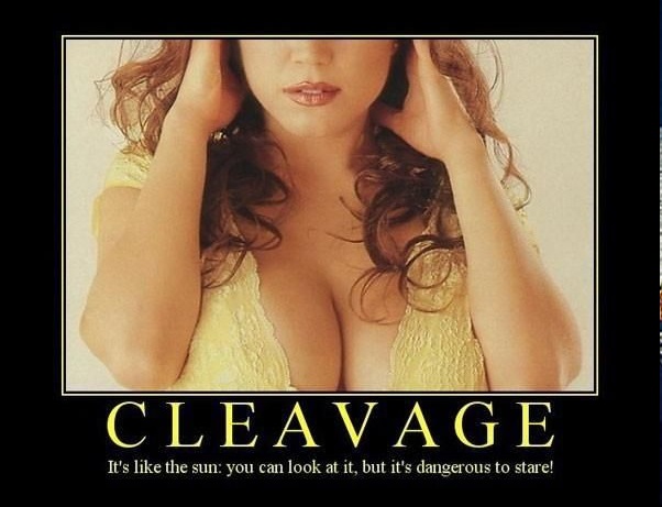 south african national cleavage day