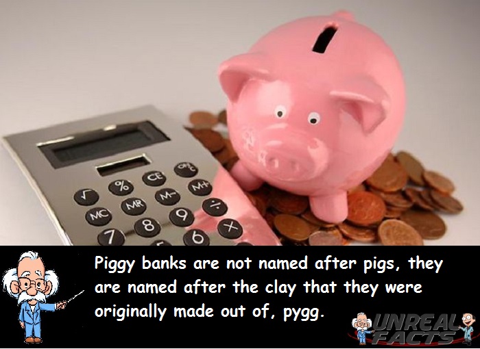 dd piggy banks get their name