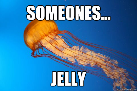 Jellyfish Don’t Have A Heart Or Brain