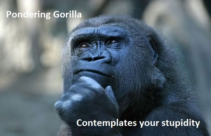 did word gorilla originate