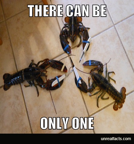 lobsters immortal