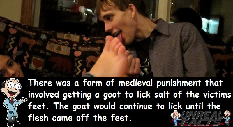 Goat Licking Salt Torture