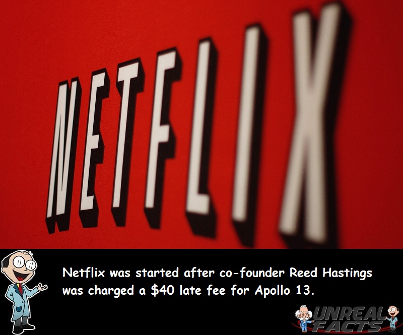 netflix founded late fee