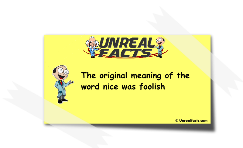 original meaning of the word nice