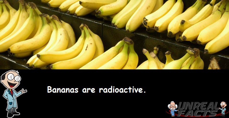 Bananas Radioactive Facts