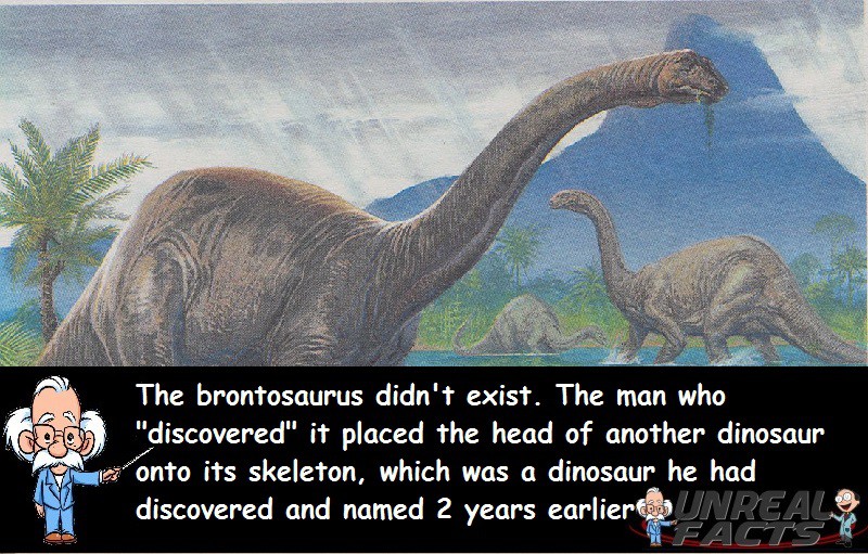 Brontosaurus Didn't Exist