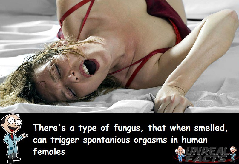 Fungus Orgasm Smelled Women