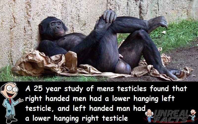 Testicle Hangs Lower Than Other Hand
