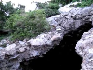 Bats Do Not Always Turn Left When Leaving A Cave