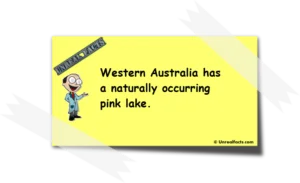 Pink Lake Western Australia is Naturally Pink