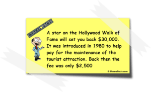 A Star On The Hollywood Walk of Fame Will Cost You At Least $30,000