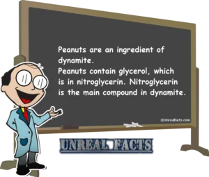 Peanuts Are An Ingredient Of Dynamite