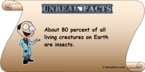 Percentage Of Insects On Earth Compared To Every Other Animal